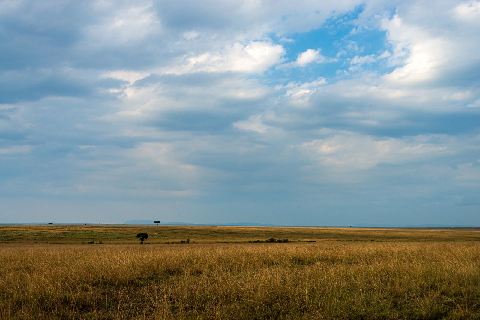 Maasai Mara